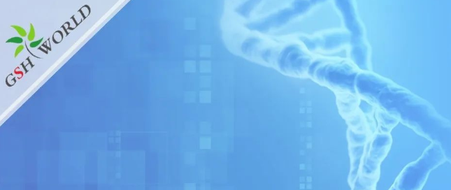 煙酰胺和nmn區(qū)別？煙酰胺單核苷酸(NMN) 的化合物
