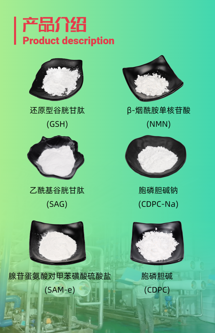 產品介紹