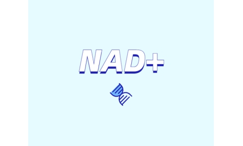 NAD+ 對身體有什么作用？如何獲取 NAD+？