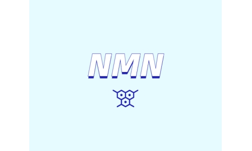 NMN為何是抗衰老研究熱點？