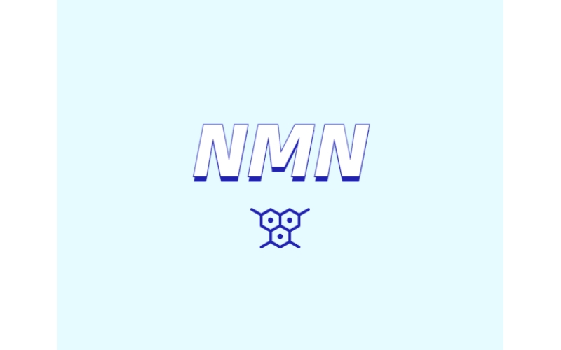 NMN為何是抗衰老研究熱點？